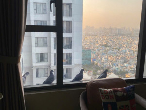 92m2 - 3 PN - 2 WC - Căn hộ ở - The Tresor - Quận 4