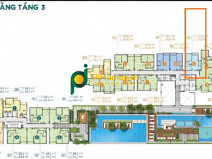 55m2 - 1+ PN - 1 WC - Căn hộ ở - D'Lusso Emerald - Quận 2