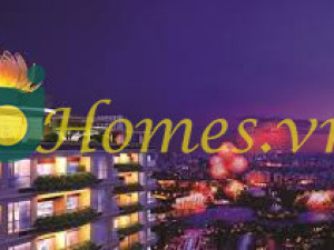 50m2 - 1 PN - 1 WC - Căn hộ ở - Diamond Lotus Riverside - Quận 8